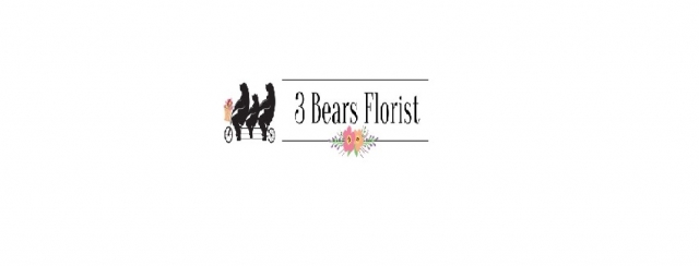  Florist 3 Bears